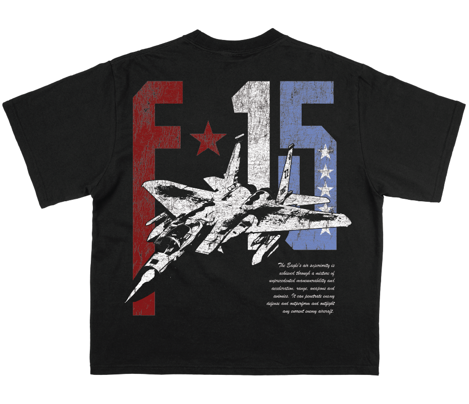 F 15
